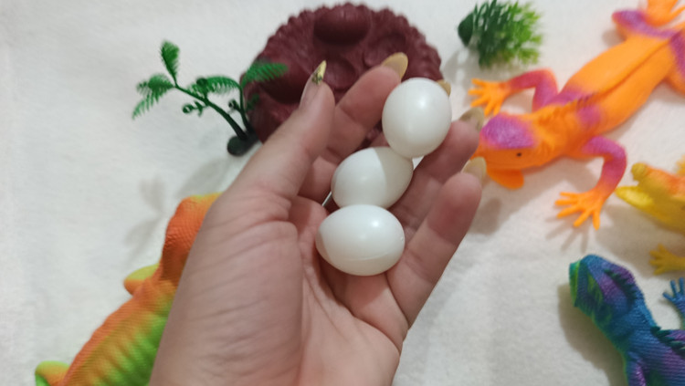 ست کامل مارمولک و ۲ عدد سایز بزرگ صدادار هست اما بقیه بی صدا